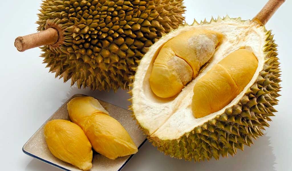 fruto.durian