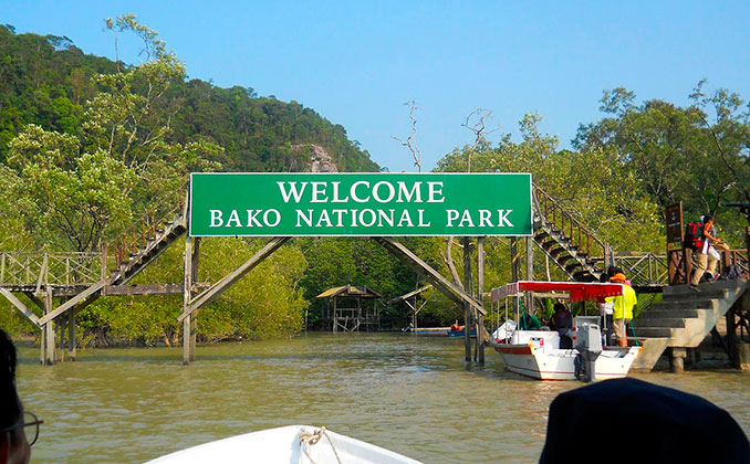 Cómo llegar al parque nacional bako en Borneo