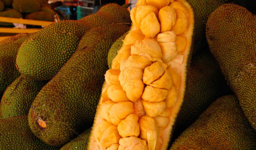 El cremoso Cempedak dentro de las frutas tropicales de Malasia