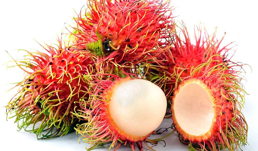 rambutan.fruta.malasia