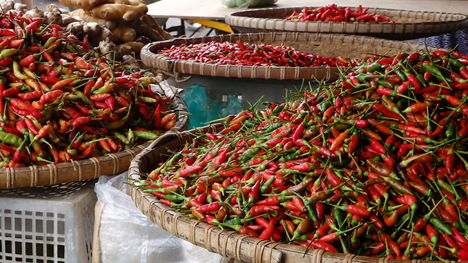 Especias chili en Borneo