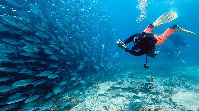 Bucear en la isla de Sipadan