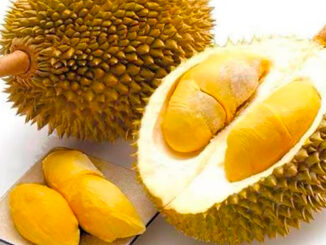 Durian en Malasia: a qué sabe, por qué está prohibido y cómo probarlo