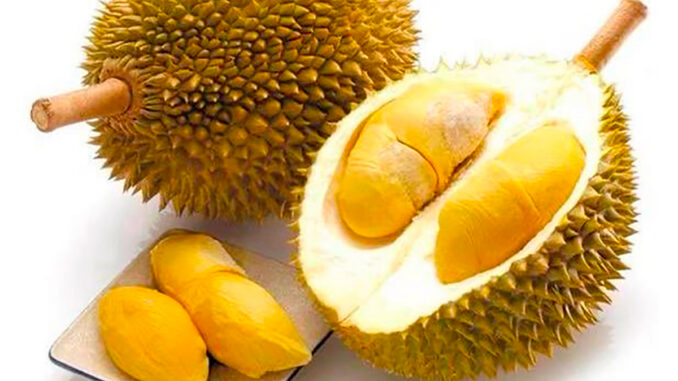 Durian en Malasia: a qué sabe, por qué está prohibido y cómo probarlo