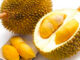 Durian en Malasia: a qué sabe, por qué está prohibido y cómo probarlo