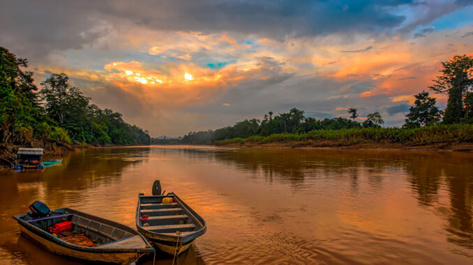 Río Kinabatangan: safari fluvial y fauna salvaje en Borneo