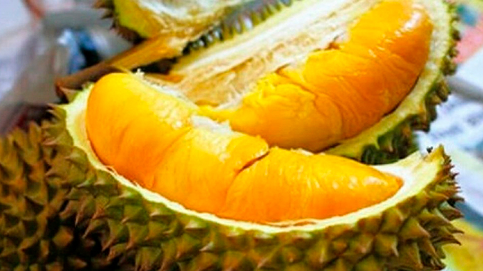 Durian Musang King, la variedad más conocida