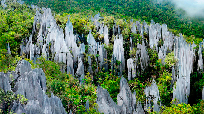 Pináculos de piedra caliza rodeados de selva en el parque nacional de Gunung Mulu, Sarawak