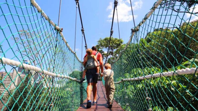 Senderismo cerca de Kuala Lumpur entre vegetación tropical