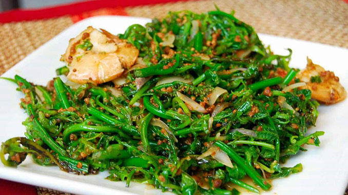 midin comida típica de Borneo a base de verduras locales