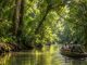 Viajeros en barca recorren un río rodeado de selva tropical en Sarawak, Borneo malasio