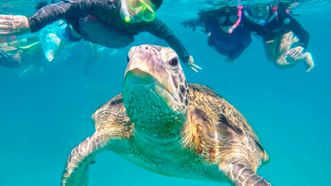 Hacer snorkel en Malasia
